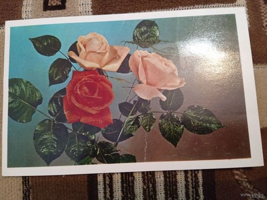 С днём рождения! 1976 года. Фото Лисецкого.