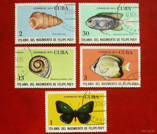 Куба. Фауна. ( 5 марок ) 1974 года. 2-6.