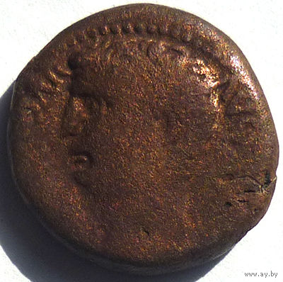КЛАВДИЙ (41-54 г.) БЕРИТ. ФИНИКИЯ. AE23.