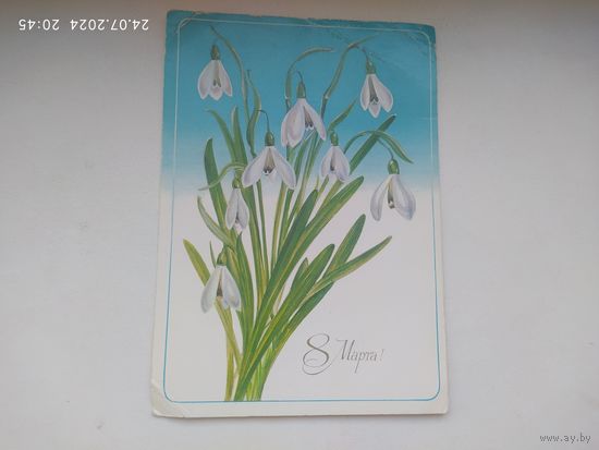 Захарова Е. 1986г.