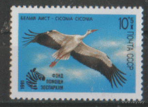 З. 6225. 1991. Птицы. ЧиСт.