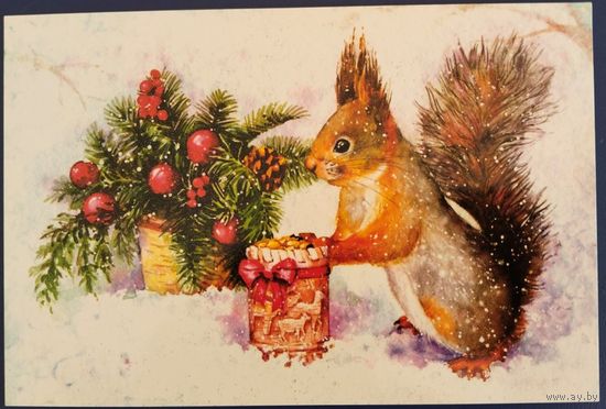 Белочка. Е.Солончук. Россия. 2018 г.