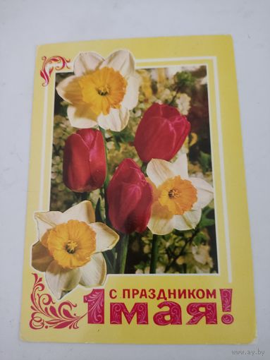 Открытка "С праздником 1 мая!" художник В.Гордеев, фото Г.Костенко, 1977г. цена за единицу