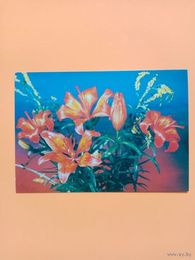 Открытка Букет,1982 чистая