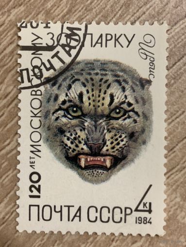 СССР 1984. Ирбис. Марка из серии