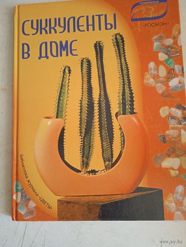Суккуленты в доме