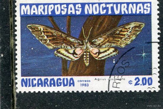 Никарагуа. Бабочки
