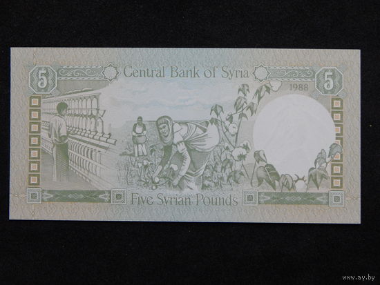 Сирия 5 фунтов 1988г.UNC