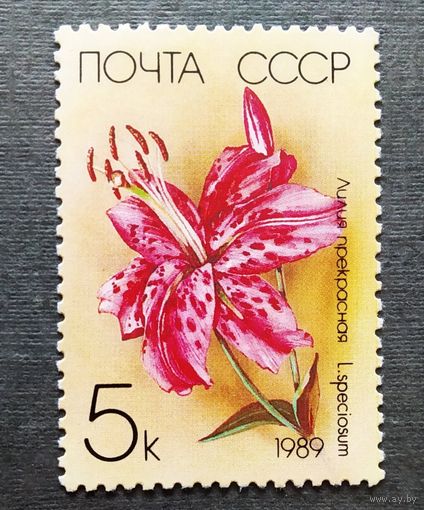Марка СССР 1989 год Лилии