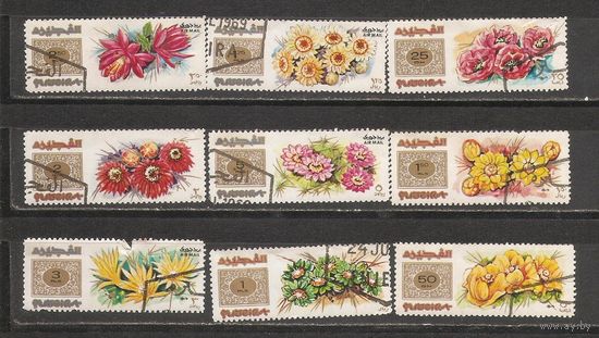 ФФ2 Фуджейра 1969 Цветы гаш