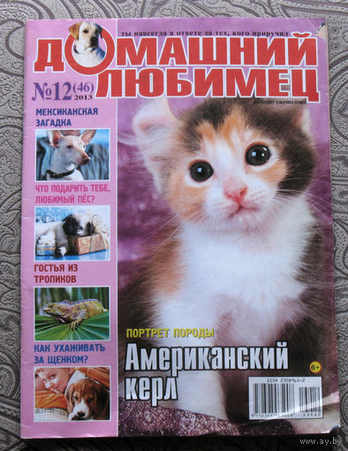 Домашний любимец 12 - 2013