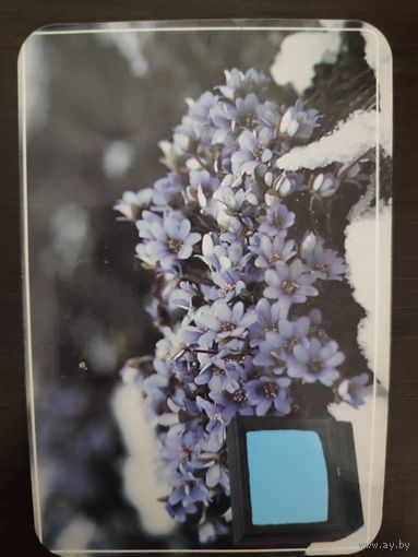 Календарик Витязь