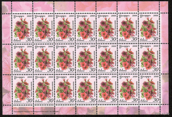 Беларусь. 2008. Стандарт.  Петуния (30р) (з.366-2008) Лист