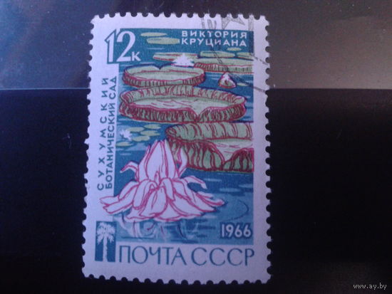 СССР 1966 ботанический сад