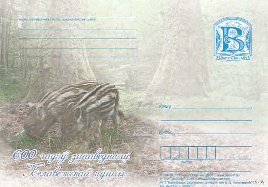 Беларусь 2009 ПК 600 лет заповедности Беловежской пущи Кабанчики (к5)