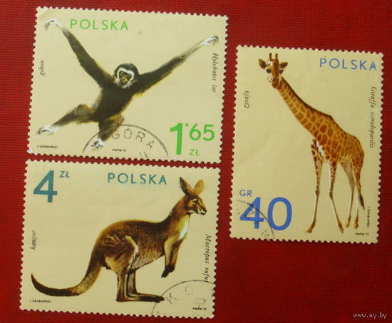 Польша. Фауна. ( 3 марки ) 1972 года. 2-7.