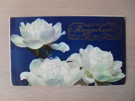ДВОЙНАЯ ЧИСТАЯ ОТКРЫТКА.СССР. ПОЗДРАВЛЯЮ. 1974 год. фото. Е. ШИПОВСКОЙ.