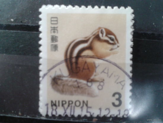 Япония, 2014. Бурундук