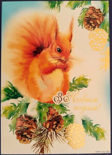 С Новым годом! Беларусь. 2021 г.