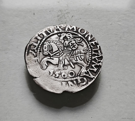 Полугрош 1560 г. Сигизмунд II Август, Вильно, лот рп-14,9