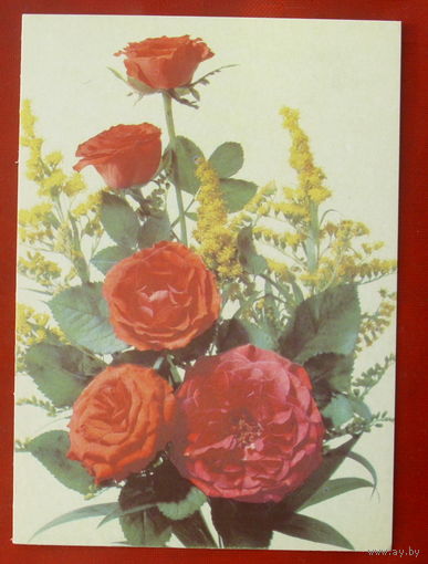 Цветы. Чистая. 1990 года. Дергилева. 672.