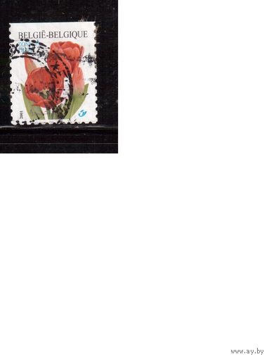 Бельгия-2001 (Мих.3095) ,  гаш. , Флора, Цветы, Стандарт
