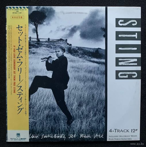 Sting - If You Love Somebody Set Them Free