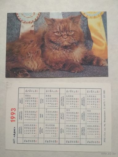 Карманный календарик. Котик.1993 год