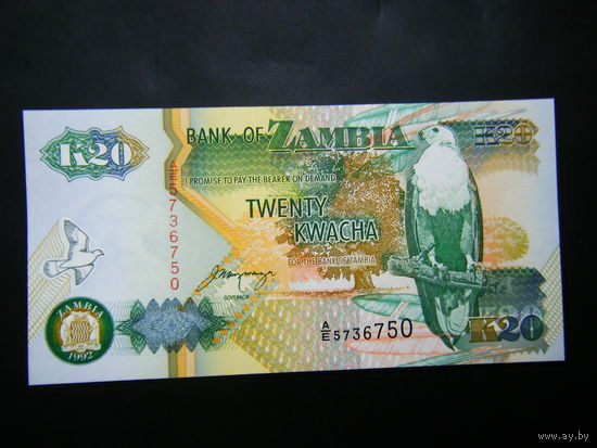 Замбия 20 квача 1992г. UNC.