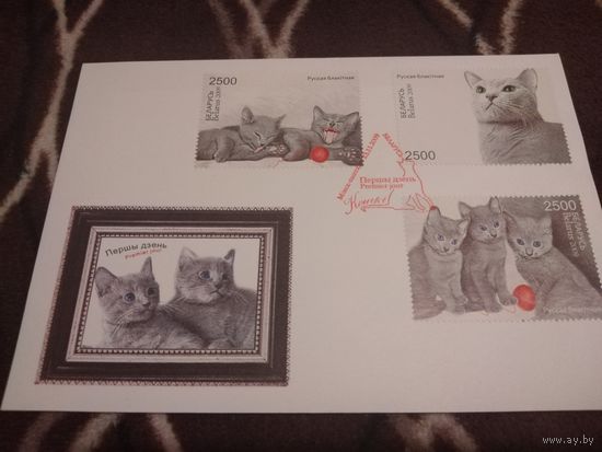 КПД 2009г. Кошки. Беларусь