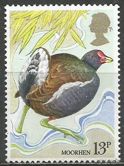Британия. Птицы. Камышница. 1980г. Mi#819.