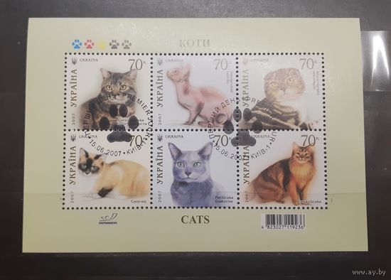 Украина. 2007 год. Фауна. Кошки. Блок (738)