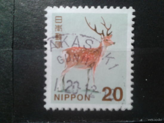 Япония, 2015. Олень