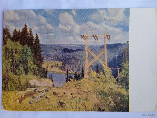 1952. Анохин. Просека