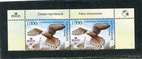 Беларусь 2010. Птица года. Сокол-пустальга. Верхняя сцепка листа