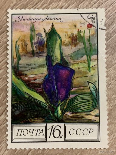 СССР 1975. Цветы. Эминиум Лемана. Марка из серии