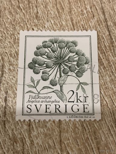 Швеция. Флора. Angelica arhangelica. Марка из серии