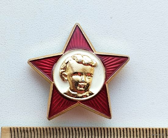 Октябрятская звёздочка. П-100.