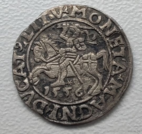 Полугрош 1556 Сигизмунд Август