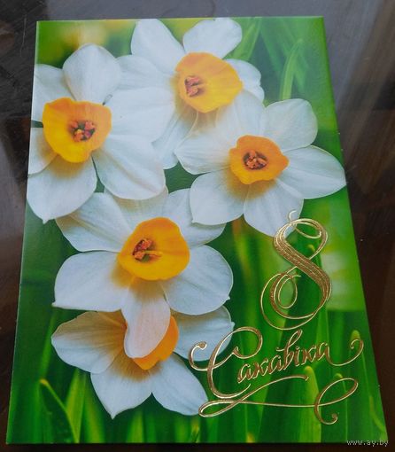 2017 год 8 сакавiка