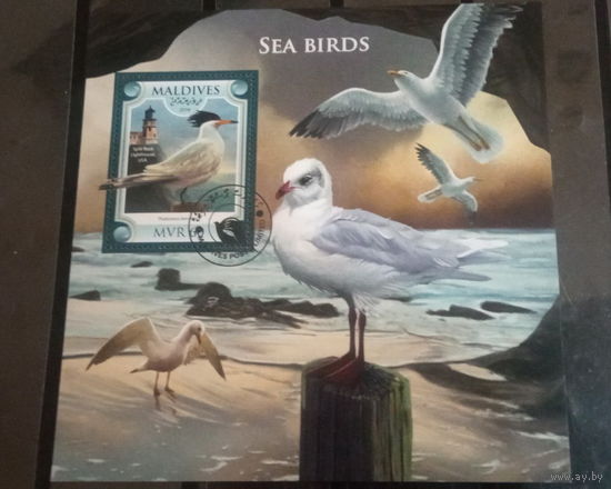 ЛИСТ ФАУНА ПТИЦЫ  СТО