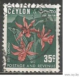 Цейлон. Цветы. Орхидеи. 1954г. Mi#270.