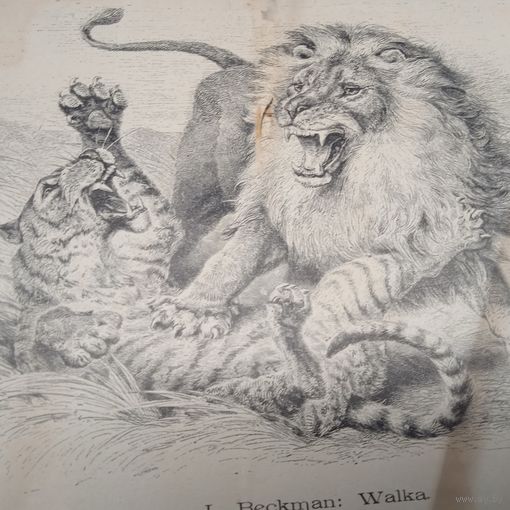 Гравюра энциклопедическая Германия конец19в.        29 х 21см.