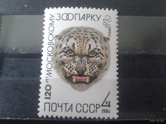 1984 Московский ЗОО, ирбис**