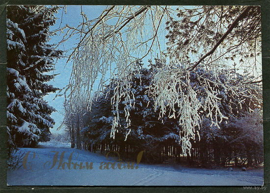 С Новым годом! Фото Ю. Буркин. 1989