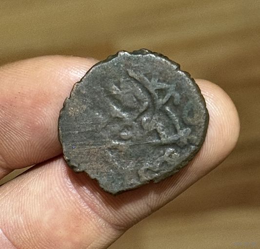 Фельс Тимуридов (5)