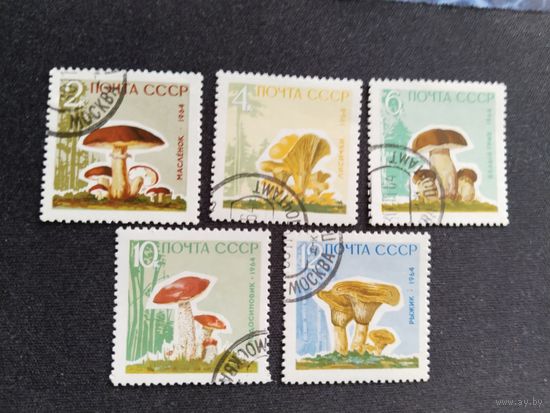 СССР 1964  5 м  лаков.покр.  грибы