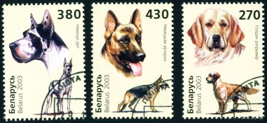 Собаки Беларусь 2003 год (526-528) серия из 3-х марок