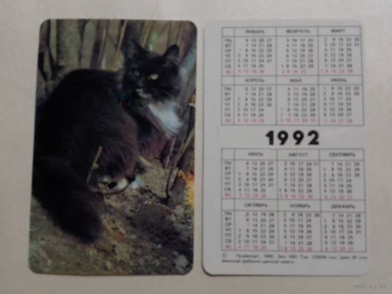 Карманный календарик. Котик.1992 год