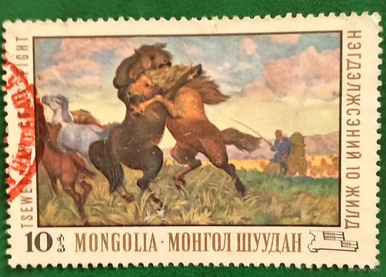 Монголия 1969. О. Цевегжавом. Битва жеребцов
